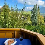 Wunderschöne Mit Balkon Und Blick Auf Alpen Oberstaufen