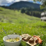 Alpenpanorama Mit Bergblick * オーバーシュタウフェン