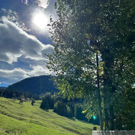 Alpenpanorama Mit Bergblick דירה *